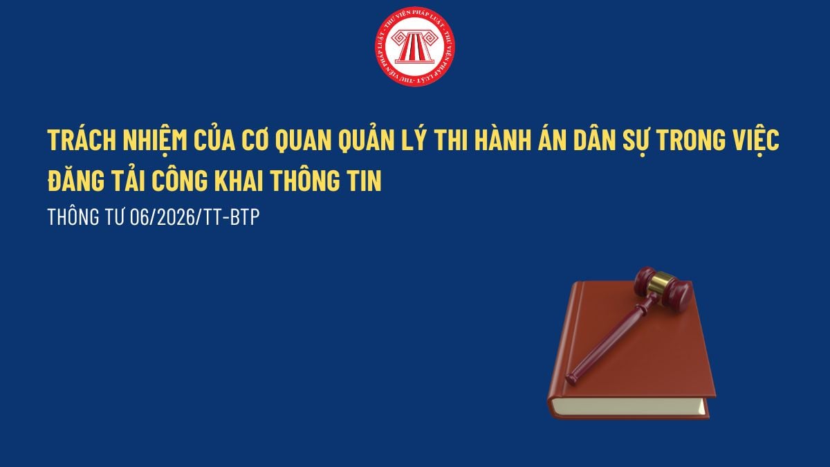Pháp luật