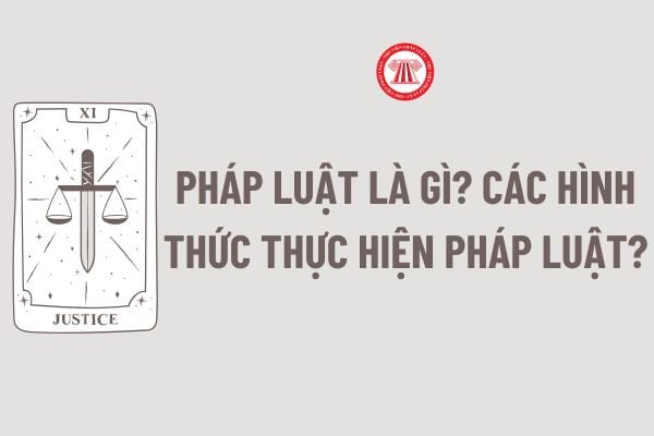 Pháp luật là gì? Chi tiết các hình thức thực hiện pháp luật? Mọi người đều bình đẳng trước pháp luật đúng không?