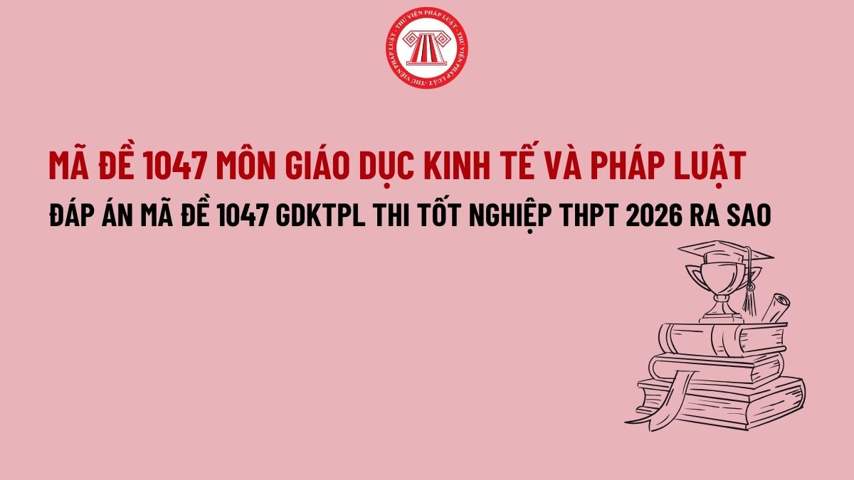 Pháp luật