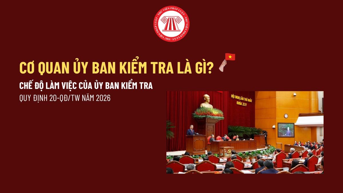 Pháp luật