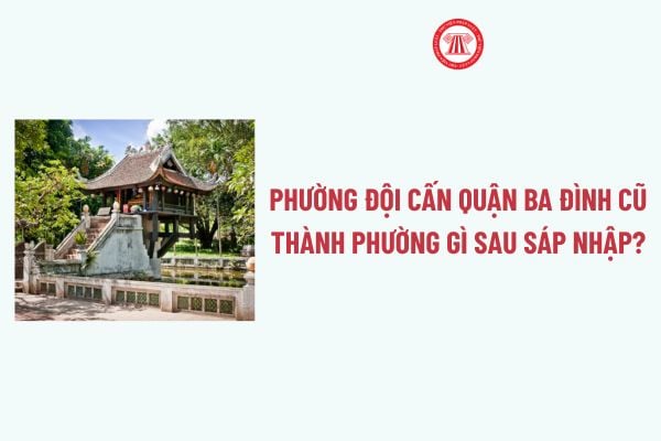 Pháp luật