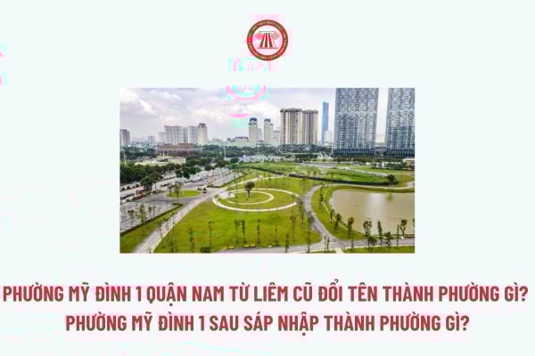 Pháp luật