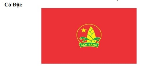 Cờ Đội