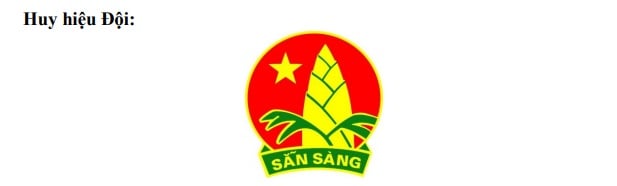 Huy hiệu Đội