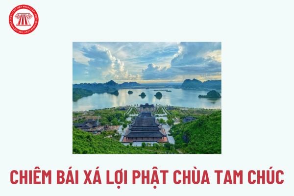 Pháp luật