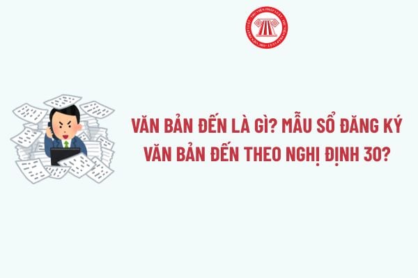 Pháp luật