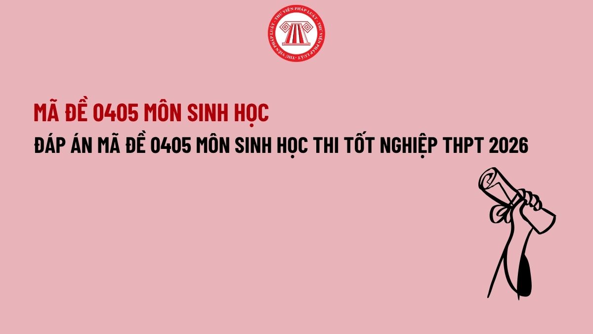 Pháp luật