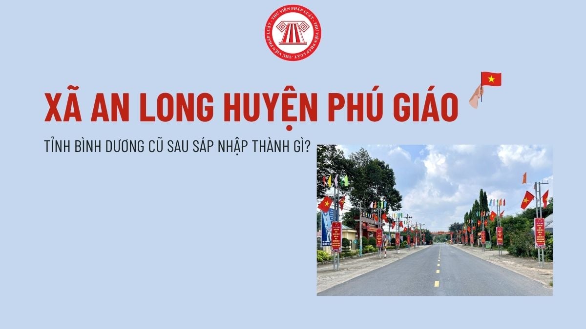 Pháp luật