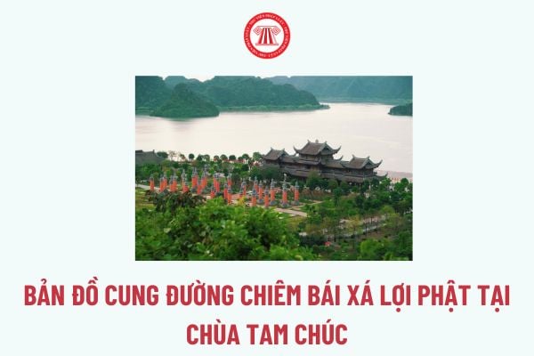 Pháp luật