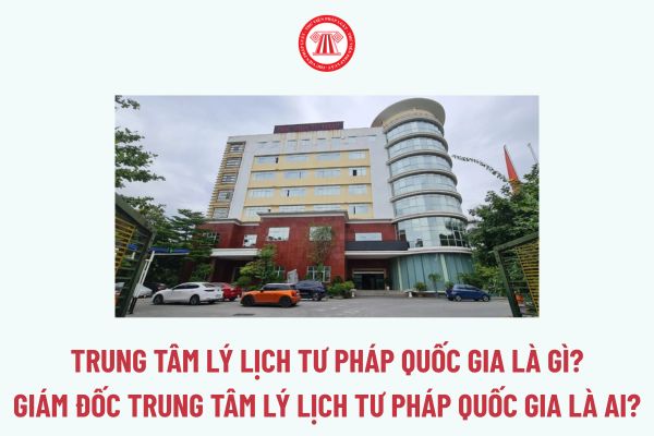 Pháp luật
