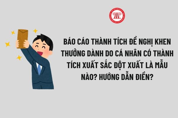 Báo cáo thành tích đề nghị khen thưởng dành do cá nhân có thành tích xuất sắc đột xuất là mẫu nào? Hướng dẫn điền? 