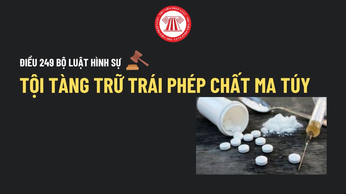 Pháp luật
