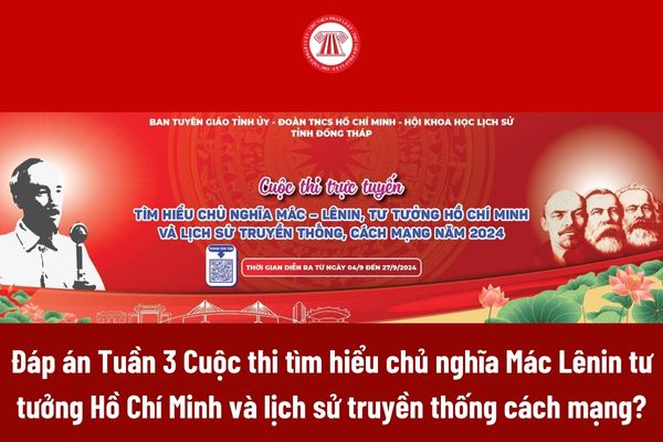 Đáp án Tuần 3 Cuộc thi tìm hiểu chủ nghĩa Mác Lênin tư tưởng Hồ Chí Minh và lịch sử truyền thống cách mạng chi tiết?