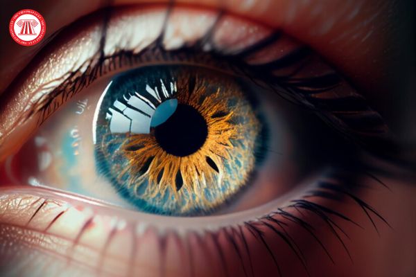 Mống mắt là gì? Mống mắt là dữ liệu cá nhân nhạy cảm hay dữ liệu cá nhân cơ bản?