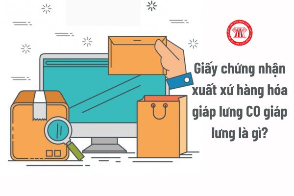 Giấy chứng nhận xuất xứ hàng hóa giáp lưng CO giáp lưng là gì? Tải trọn bộ Hồ sơ cấp CO giáp lưng?