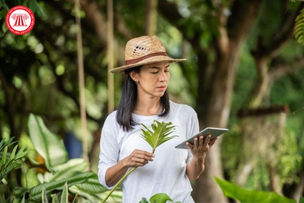 Việc quan trắc, phân tích, đánh giá sự phù hợp của sản phẩm, dịch vụ với tiêu chí Nhãn sinh thái Việt Nam được thực hiện bởi tổ chức nào?