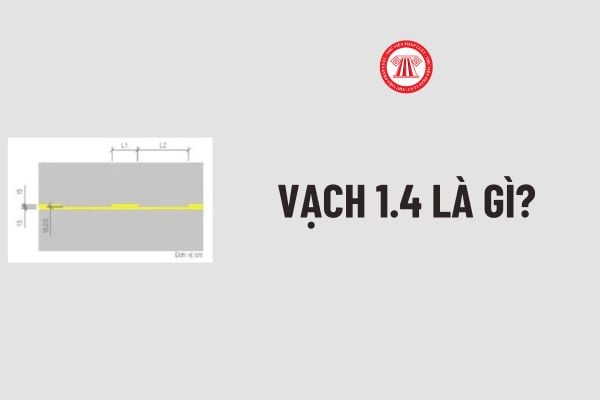 Vạch 1.4 là gì? Ý nghĩa Vạch 1.4 theo Quy chuẩn 41:2024/BGTVT? Vạch 1.4 có được đè không? Xe máy đè vạch 1.4 phạt bao nhiêu 2025 Nghị định 168?