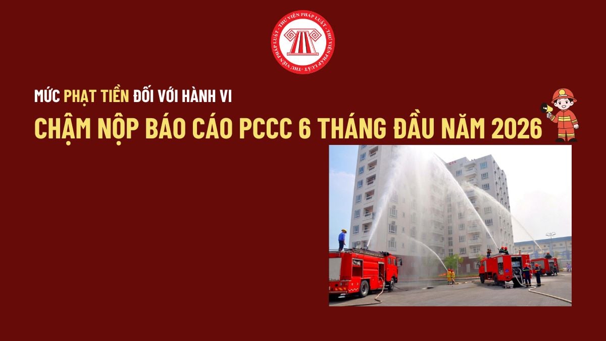 Pháp luật