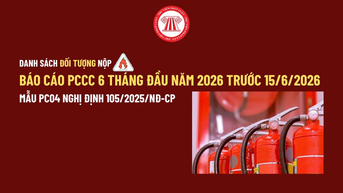 Pháp luật