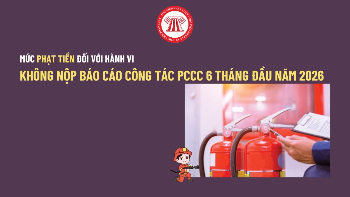Pháp luật