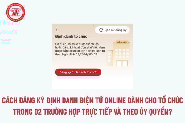 Pháp luật