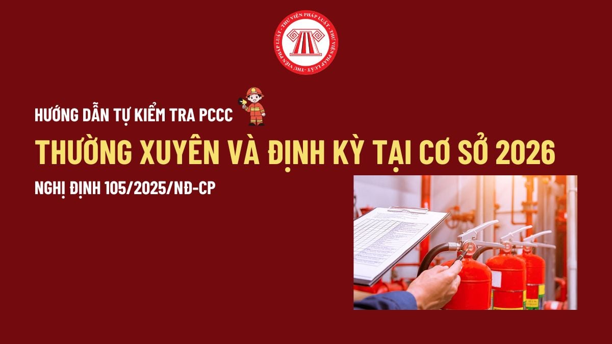 Pháp luật