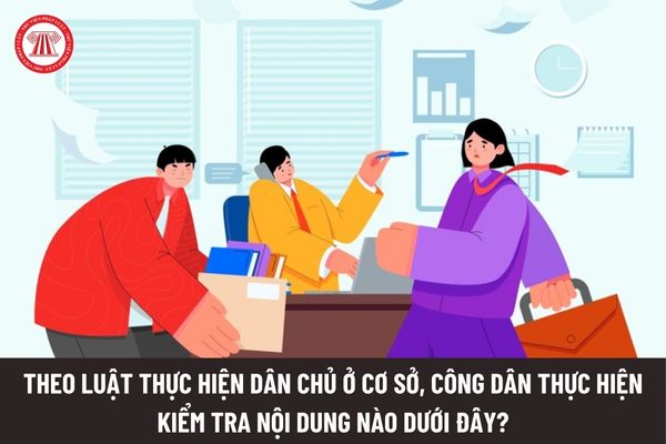 Theo Luật Thực hiện dân chủ ở cơ sở, công dân thực hiện kiểm tra nội dung nào dưới đây?