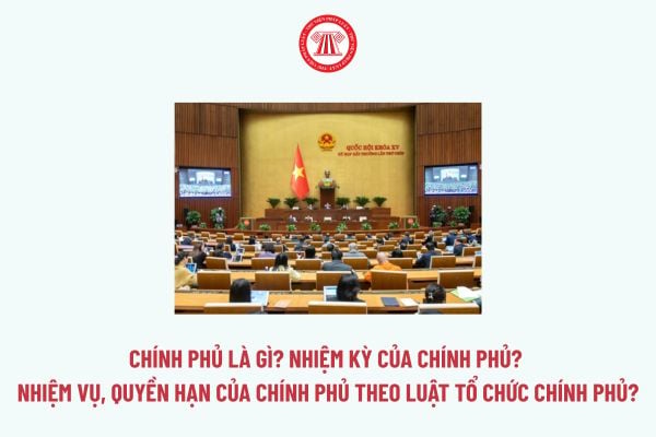 Pháp luật