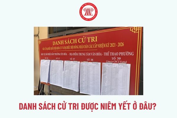 Pháp luật