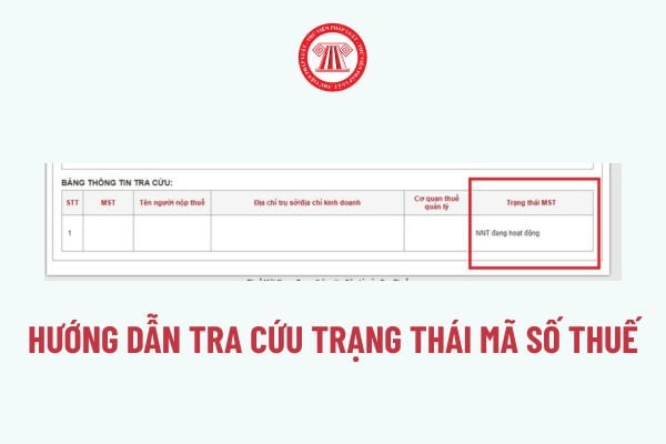 Pháp luật