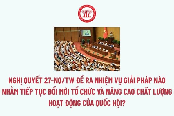 Pháp luật