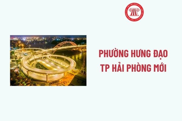 Pháp luật