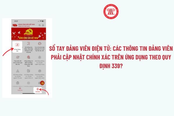 Pháp luật