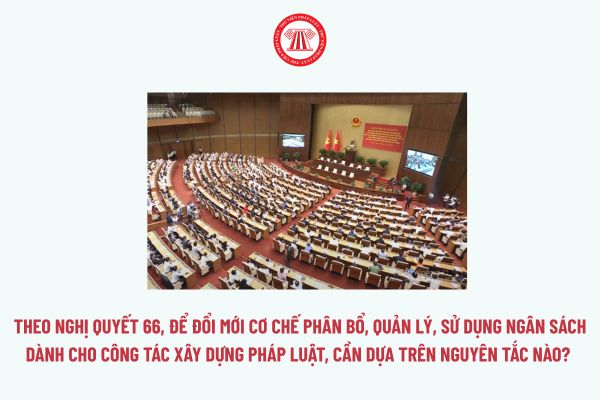 Pháp luật