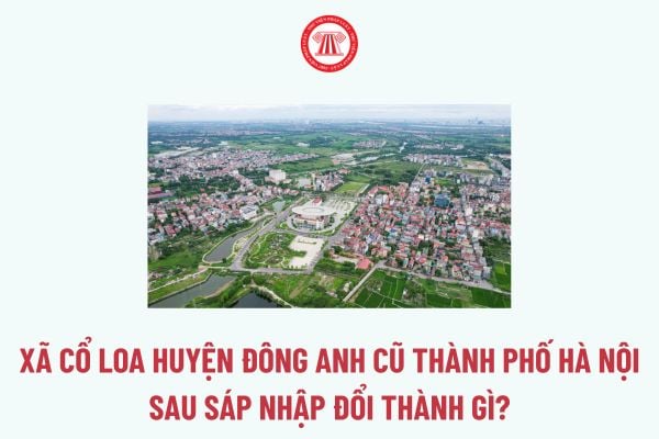 Xã Cổ Loa huyện Đông Anh cũ thành phố Hà Nội sau sáp nhập đổi thành gì? Xã Cổ Loa huyện Đông Anh cũ sáp nhập vào đâu?