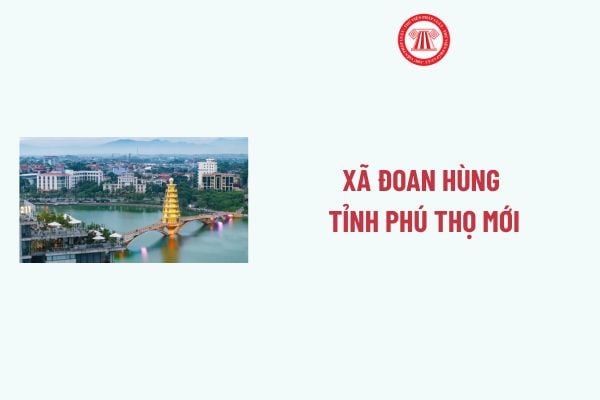 Pháp luật