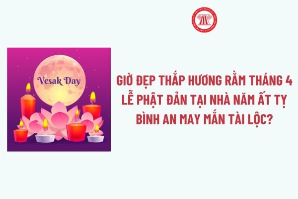 Pháp luật