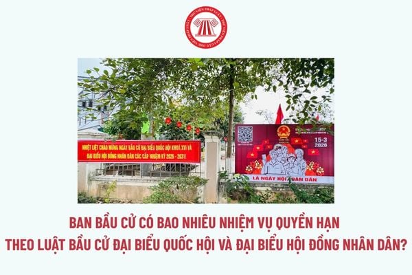 Pháp luật