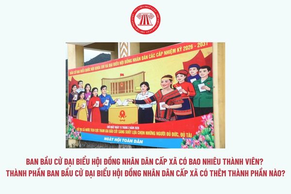 Pháp luật