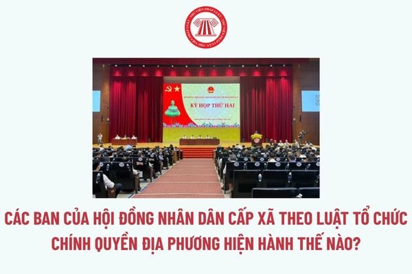 Pháp luật