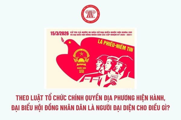 Pháp luật