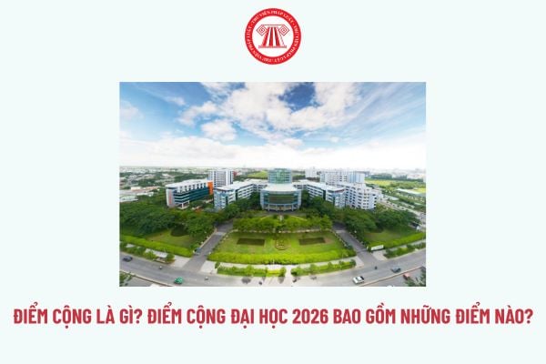 Pháp luật