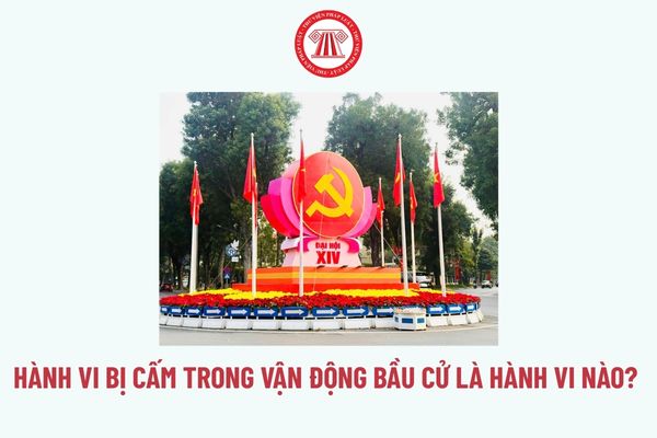 Pháp luật