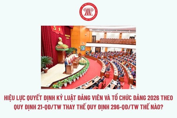 Pháp luật