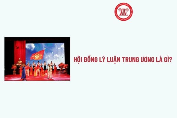 Pháp luật