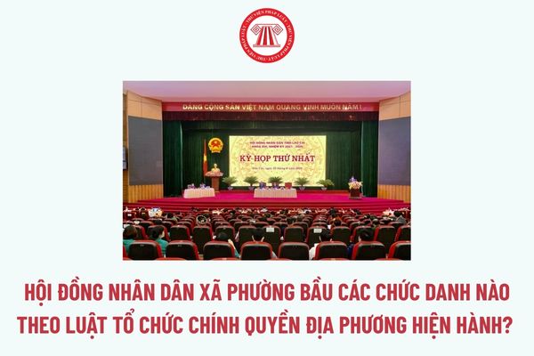 Pháp luật