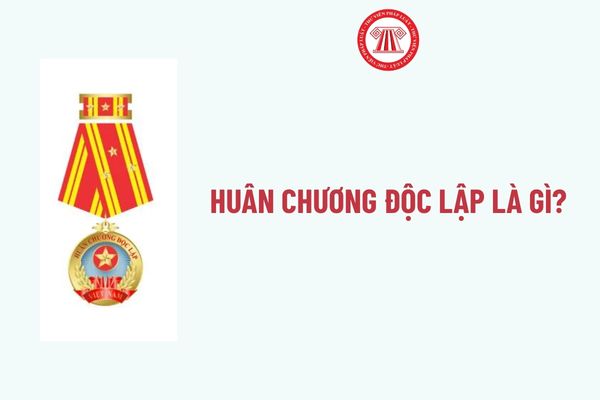 Pháp luật