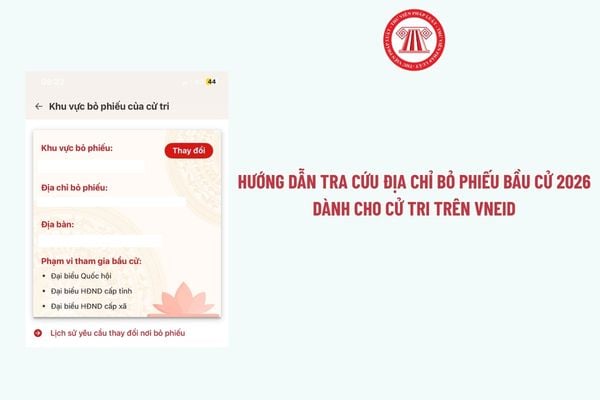 Pháp luật