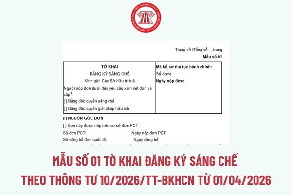 Pháp luật