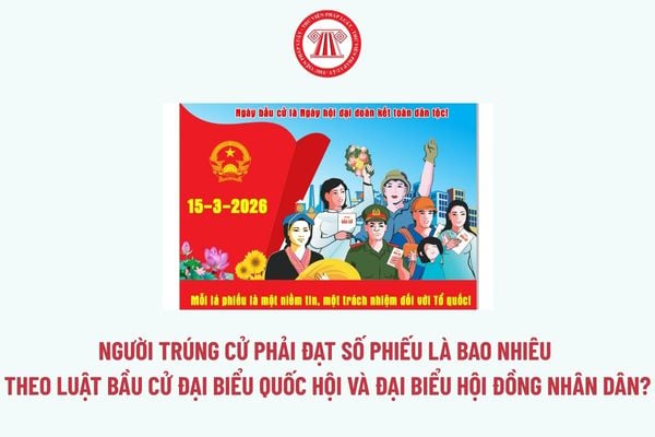 Pháp luật